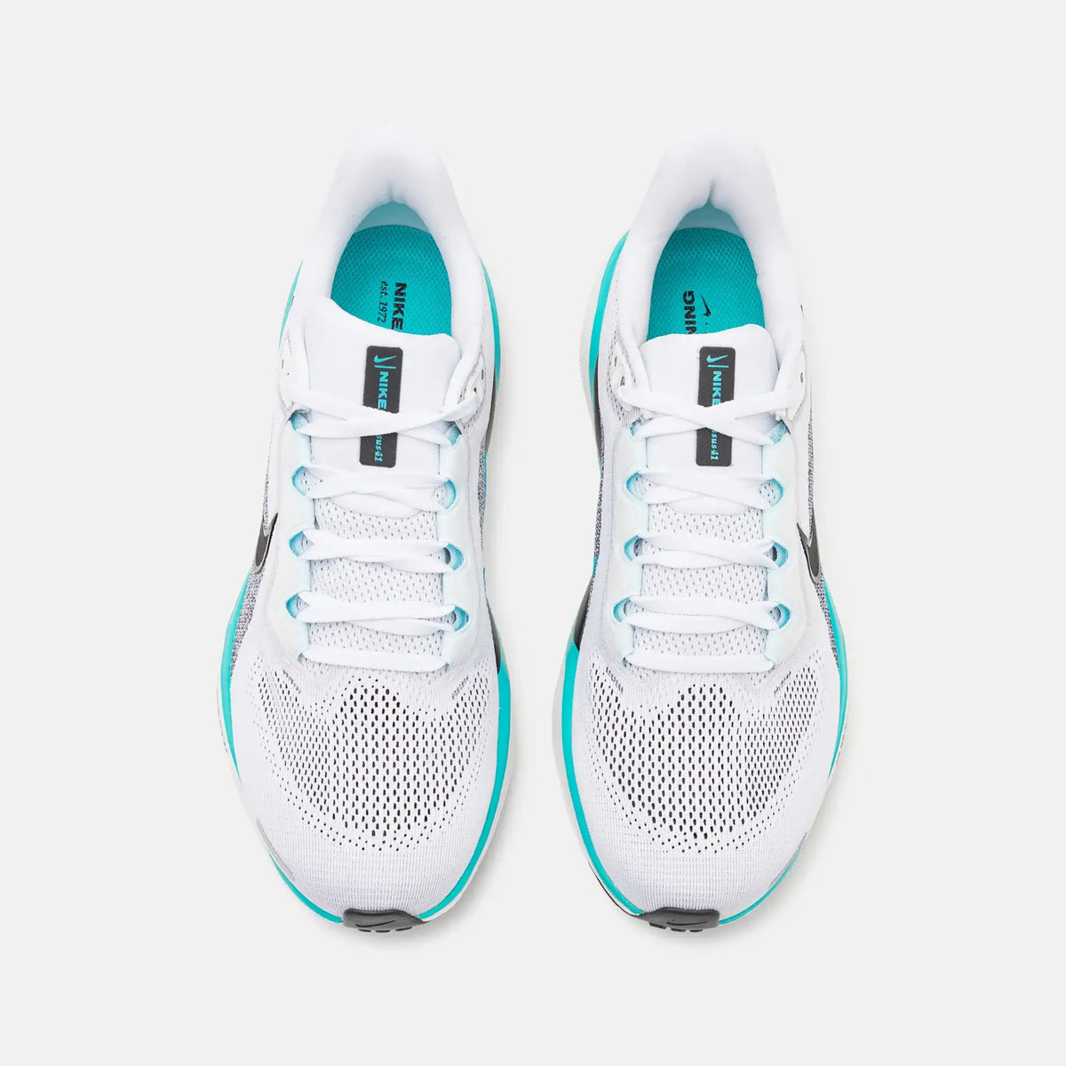 Nike Men's Air Zoom Pegasus 41